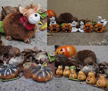 Halloween und Herbst Dekoration bei rtWebshop Deko & mehr